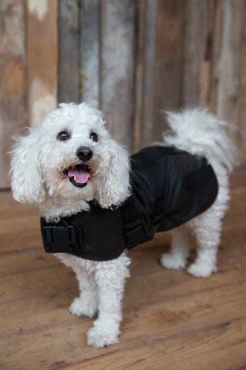 Outback Trading Company Clancy Oilskin Canine Coat Dog Coats